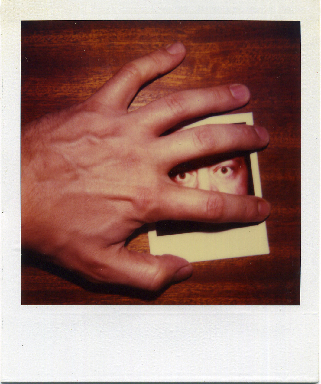 Polaroid SX-70
